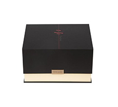 Consumer Electronics Gift Packaging